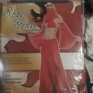 Sheer Genie Costume
